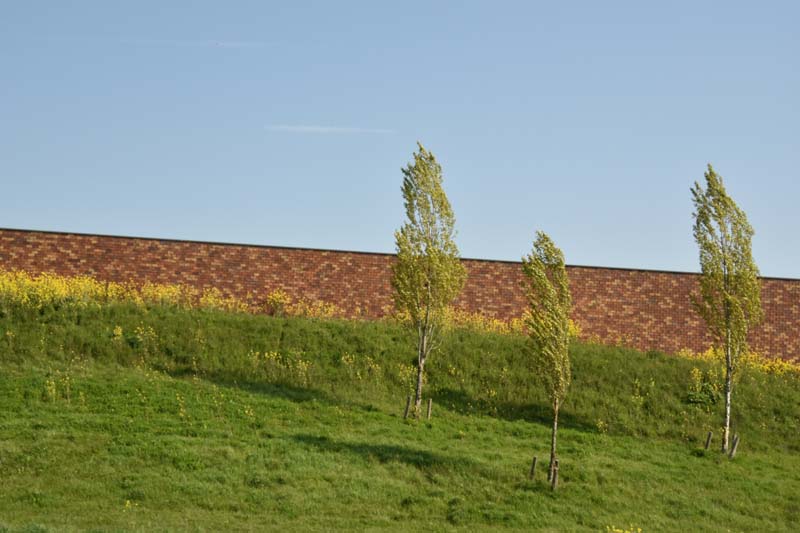 19-04-16_WES-Holl_0002_GA2_7869