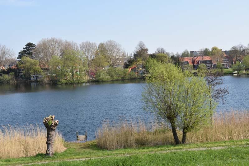 19-04-16_WES-Holl_0032_GA2_7899