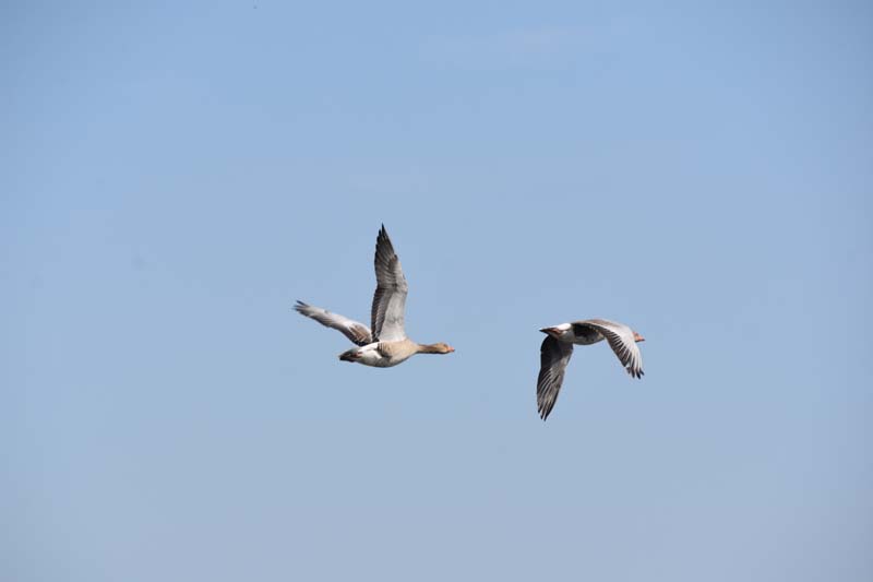 19-04-16_WES-Holl_0171_GA2_7981