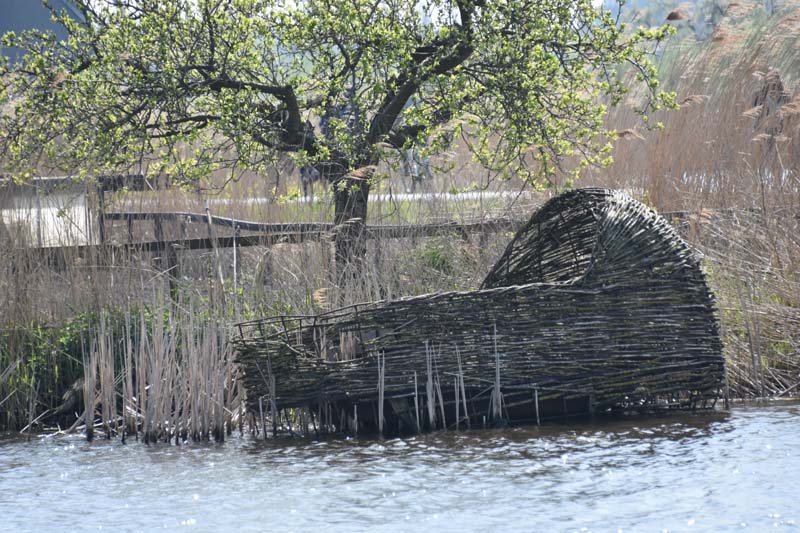 19-04-16_WES-Holl_0312_GA2_8056