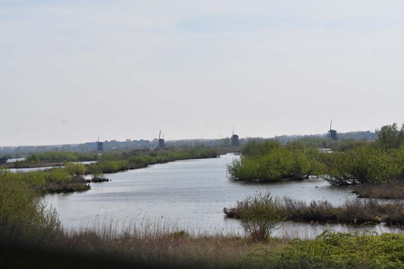 19-04-16_WES-Holl_0351_GA2_8083