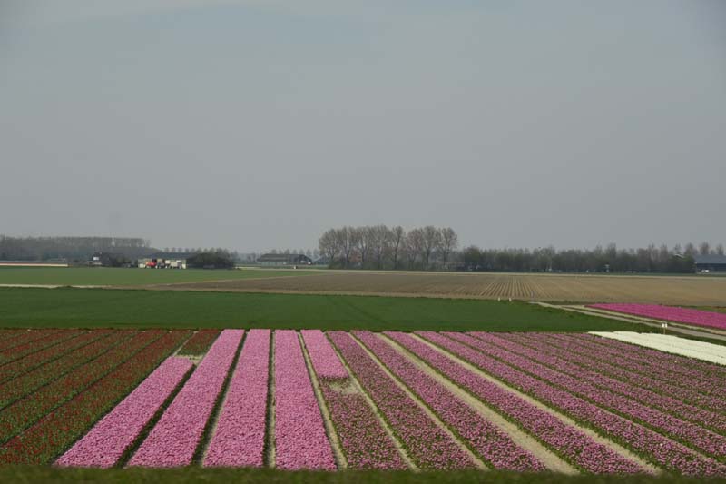 19-04-16_WES-Holl_0402_GA2_8135