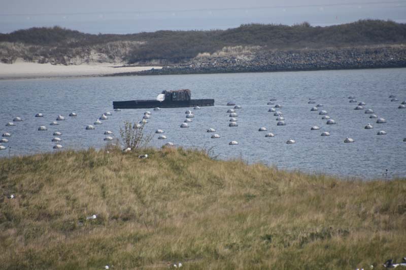 19-04-16_WES-Holl_0477_GA2_8210