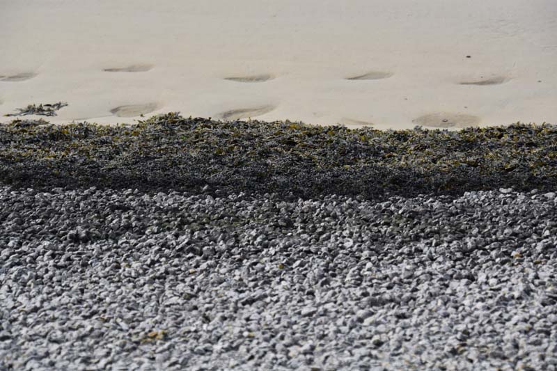 19-04-16_WES-Holl_0499_GA2_8232