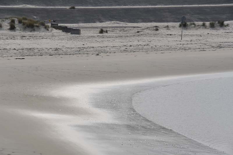 19-04-16_WES-Holl_0511_GA2_8240