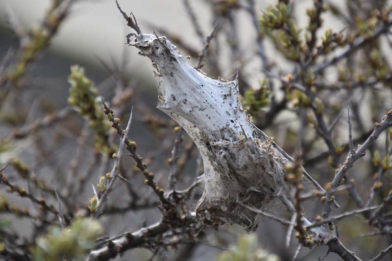 19-04-16_WES-Holl_0515_GA2_8244