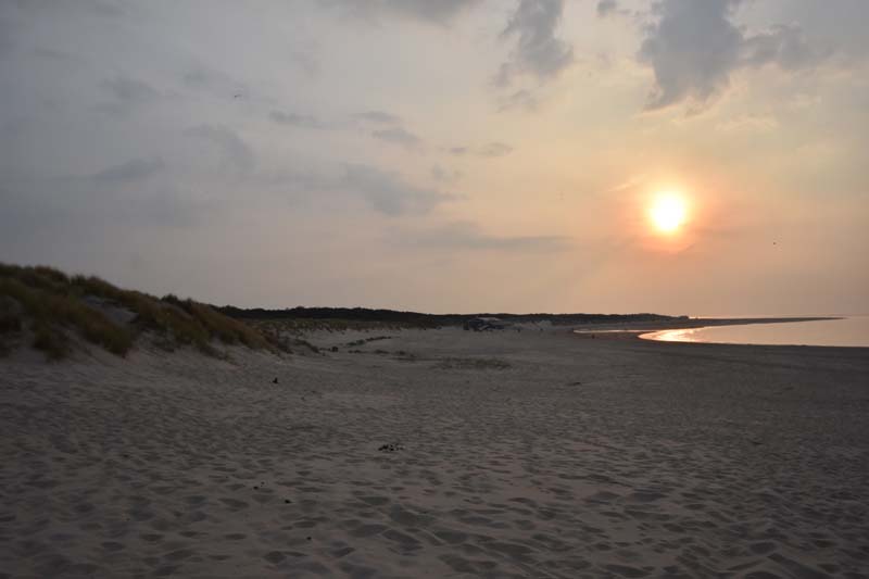 19-04-16_WES-Holl_0620_GA2_8346