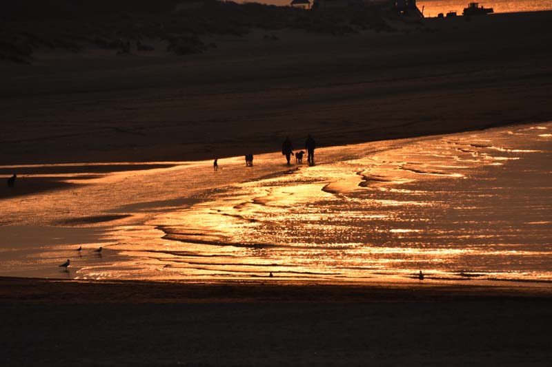 19-04-16_WES-Holl_0626_GA2_8352