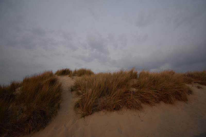 19-04-16_WES-Holl_0628_GA2_8354