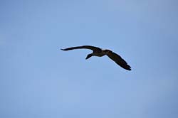 19-04-16_WES-Holl_0140_GA2_7956