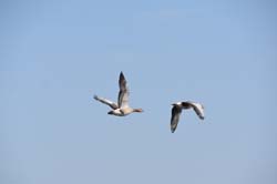 19-04-16_WES-Holl_0171_GA2_7981