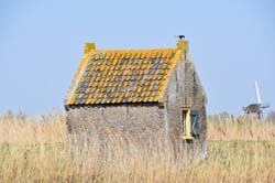 19-04-16_WES-Holl_0253_GA2_8021