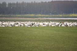 19-04-16_WES-Holl_0396_GA2_8129