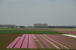 19-04-16_WES-Holl_0402_GA2_8135