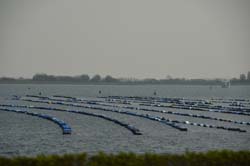 19-04-16_WES-Holl_0414_GA2_8147