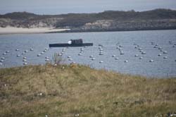 19-04-16_WES-Holl_0477_GA2_8210