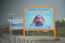 19-04-16_WES-Holl_0483_GA2_8216