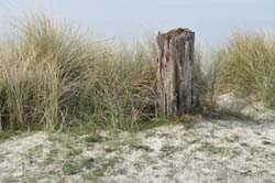 19-04-16_WES-Holl_0497_GA2_8230