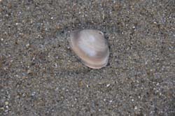 19-04-16_WES-Holl_0602_GA2_8328