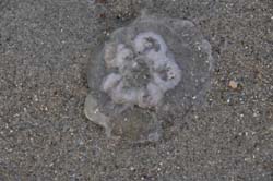 19-04-16_WES-Holl_0604_GA2_8330