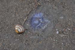 19-04-16_WES-Holl_0606_GA2_8332