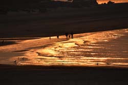 19-04-16_WES-Holl_0626_GA2_8352