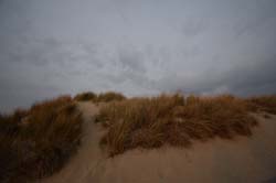 19-04-16_WES-Holl_0628_GA2_8354